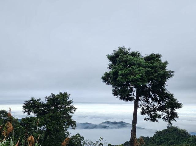 雲瀑