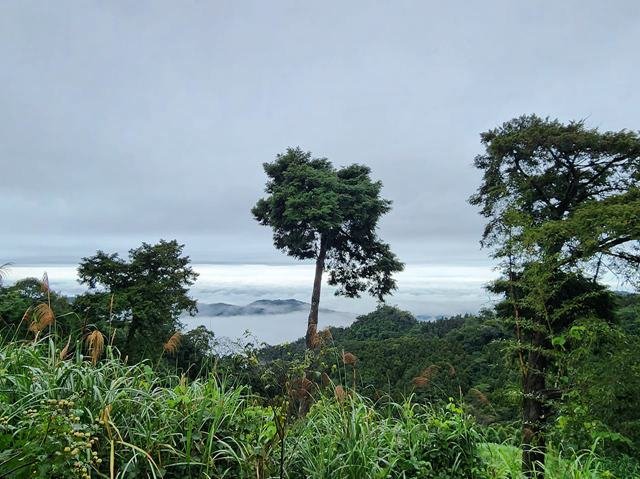 雲瀑